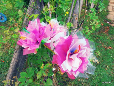 Μορφογέννεσις -λουλούδια από ανακυκλώσιμα υλικά